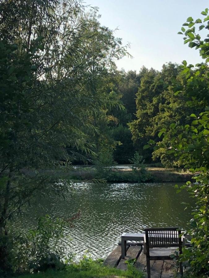 La Francoisiere Bed and Breakfast Loigné-sur-Mayenne Esterno foto