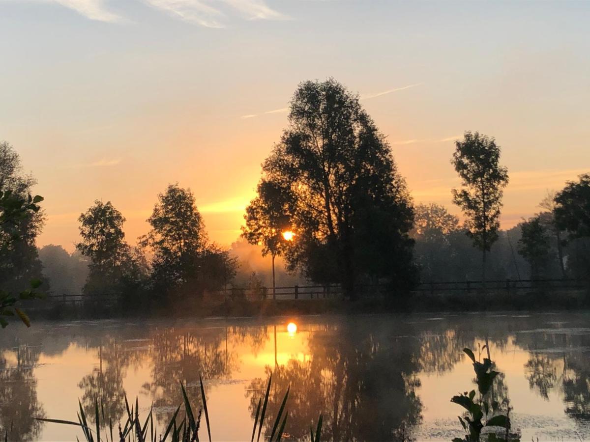La Francoisiere Bed and Breakfast Loigné-sur-Mayenne Esterno foto