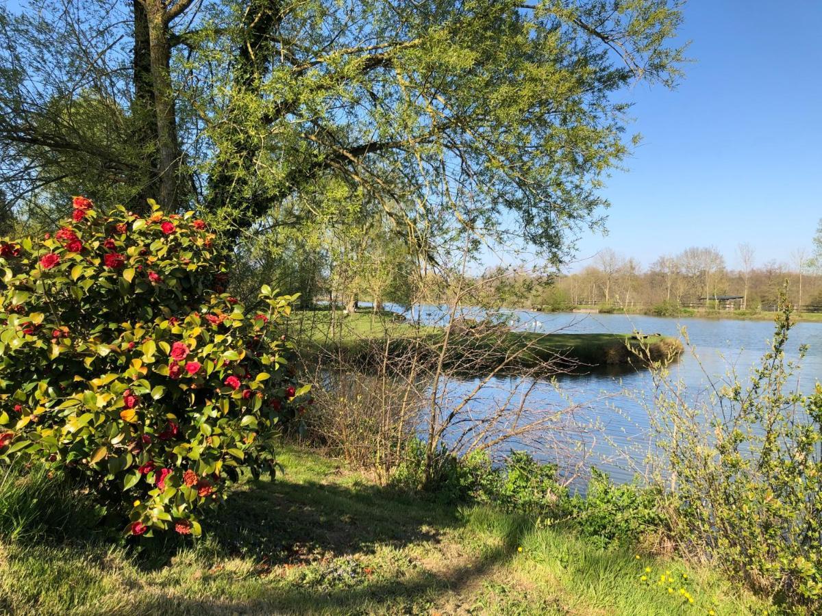 La Francoisiere Bed and Breakfast Loigné-sur-Mayenne Esterno foto