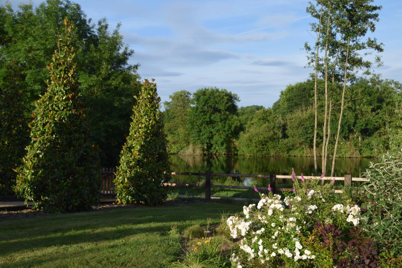 La Francoisiere Bed and Breakfast Loigné-sur-Mayenne Esterno foto